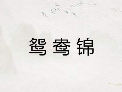 鸳鸯锦
