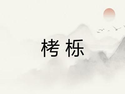 栲栎