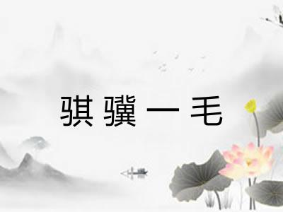 骐骥一毛