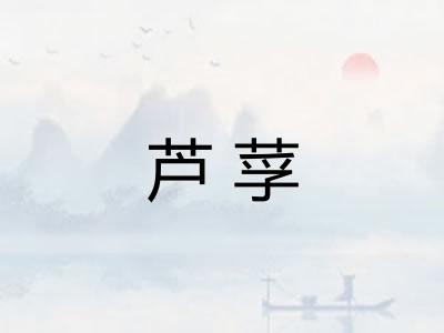 芦莩