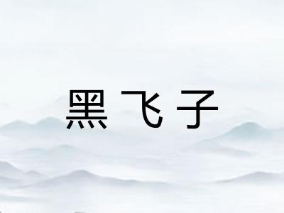 黑飞子