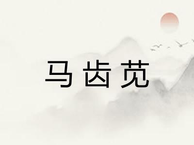 马齿苋