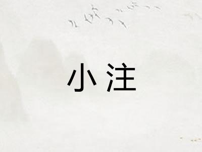 小注