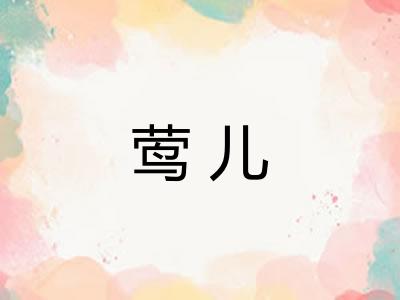 莺儿