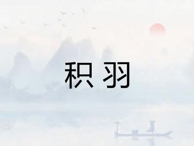 积羽