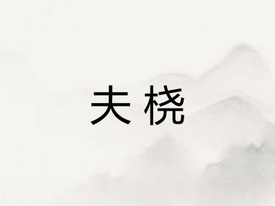 夫桡