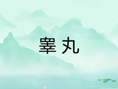 睾丸