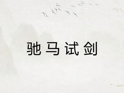 驰马试剑