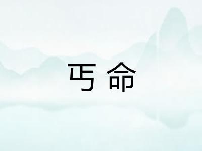 丐命