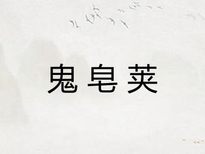 鬼皂荚