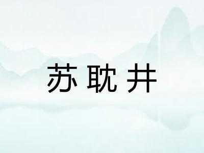 苏耽井