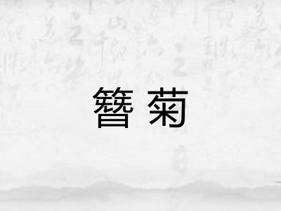 簪菊
