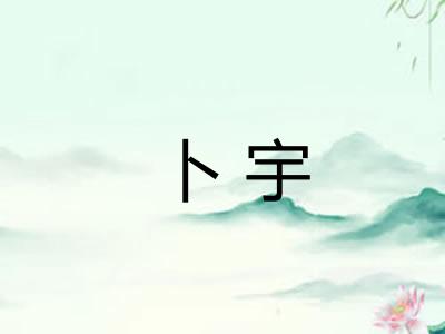 卜宇