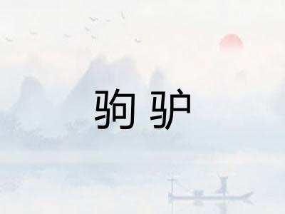 驹驴