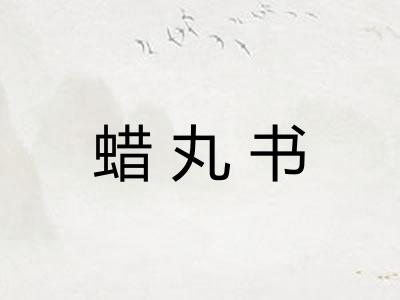蜡丸书