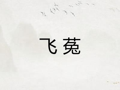 飞菟