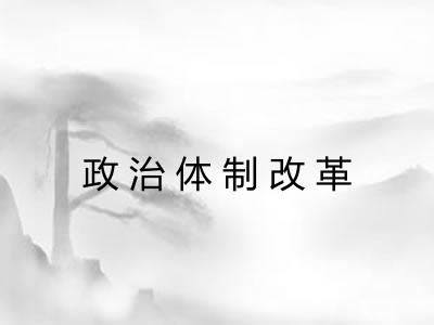 政治体制改革