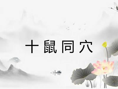 十鼠同穴