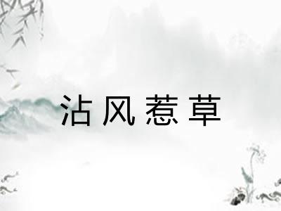沾风惹草