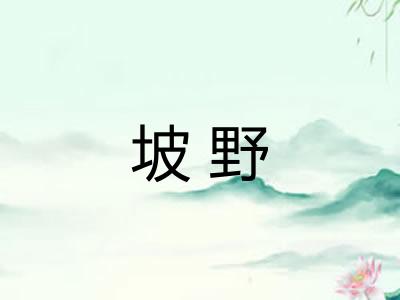坡野