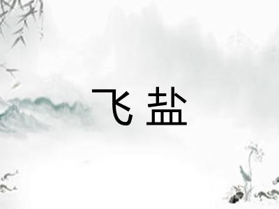 飞盐