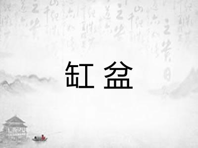 缸盆