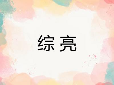 综亮