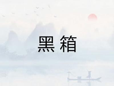 黑箱