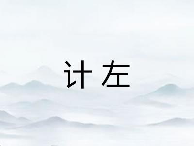 计左