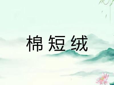 棉短绒
