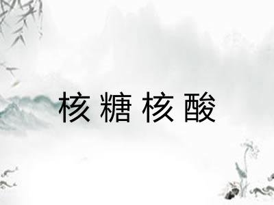 核糖核酸