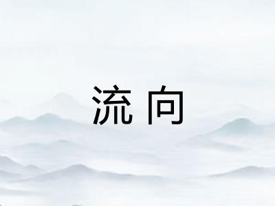 流向