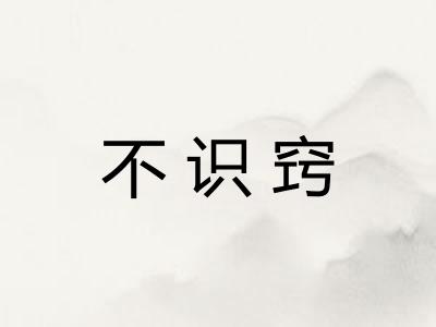 不识窍