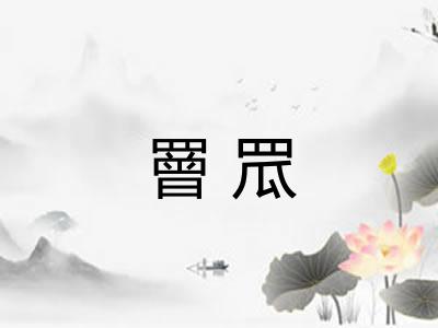 罾罛