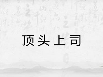 顶头上司