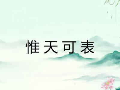 惟天可表