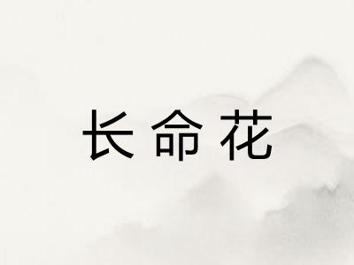 长命花
