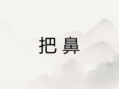 把鼻