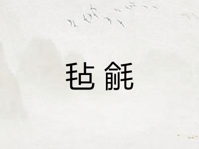 毡毹