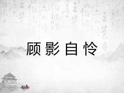 顾影自怜