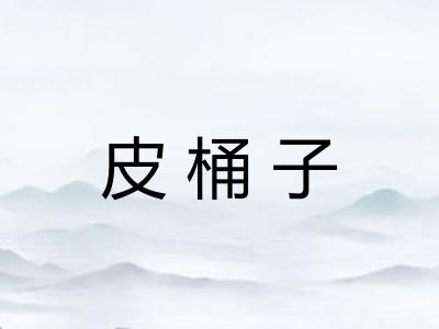 皮桶子