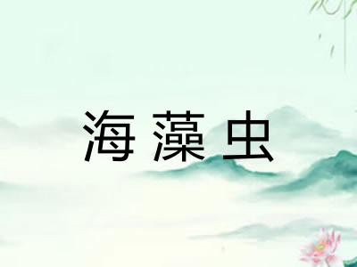海藻虫