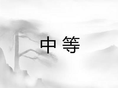 中等