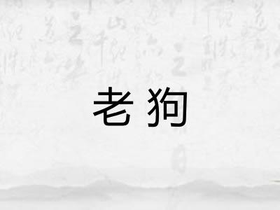 老狗