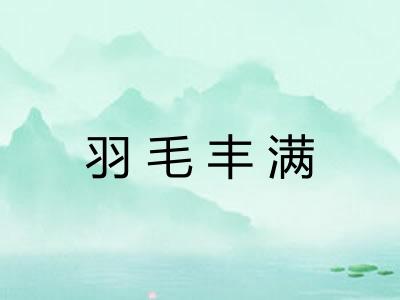 羽毛丰满