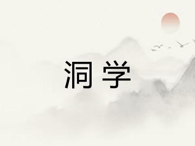 洞学