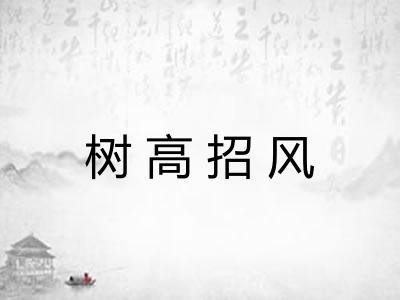 树高招风