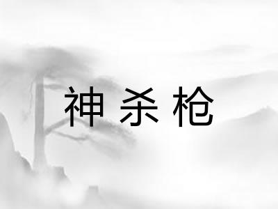 神杀枪