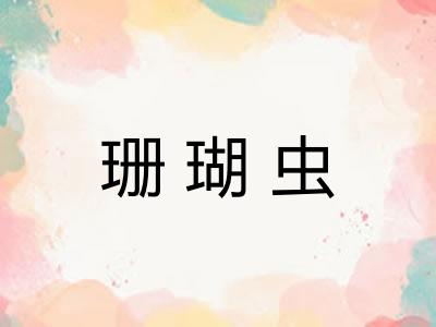珊瑚虫