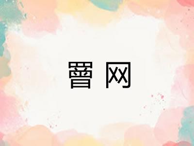 罾网